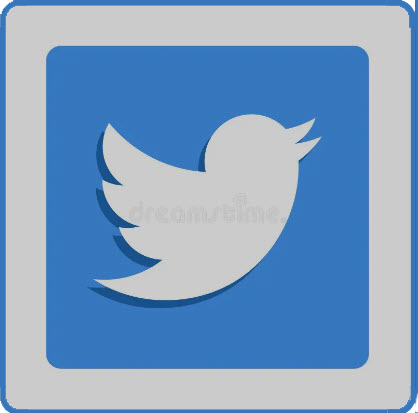Twitter   Twitter Link